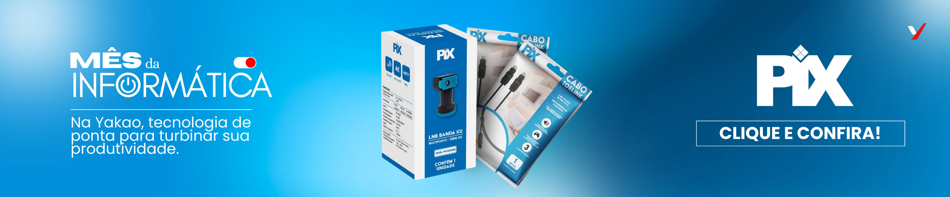 PIX - Mês da informatica