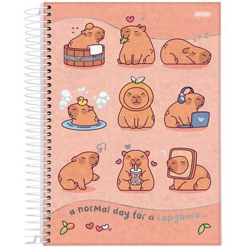 Caderno Universitário Capa Dura Espiral 10 Matérias 160 Fls 200x275 Capy Vibes Rosa - Unitário - Jandaia - 78381-26