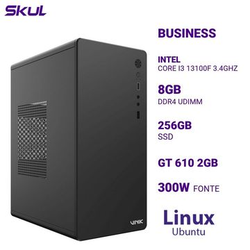 Micro Computador Skul Business B300 Core i3 13100F Memória 8 GB SSD 256 GB com Placa de Video GT610 Linux sem Monitor - 345109-SINOP-03
