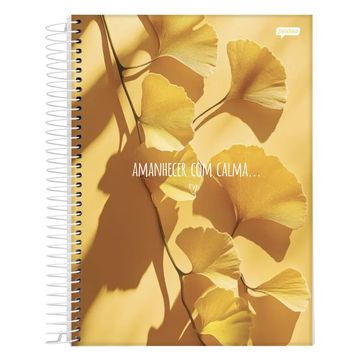 Caderno Universitário Capa Dura Espiral 10 Matérias 160Fls 200x275 Paz - Pacote com 4 Unidades - Jandaia - 69046-26